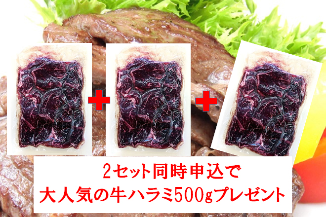 2セット同時申込で更に500gプレゼント