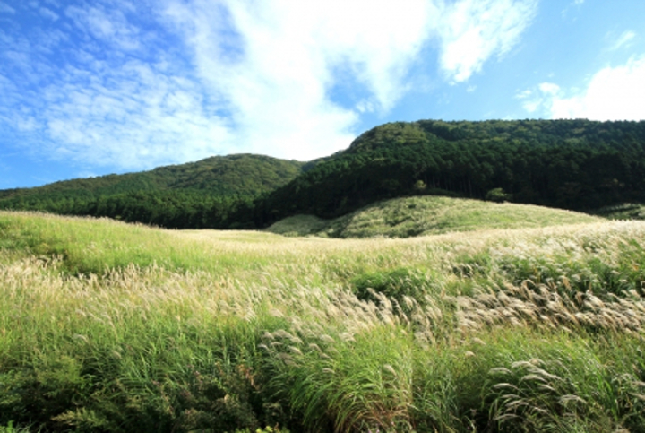 箱根高原ホテル（神奈川県 仙石原）9月中旬からは、あの有名なすすき草原が見ごろ♪