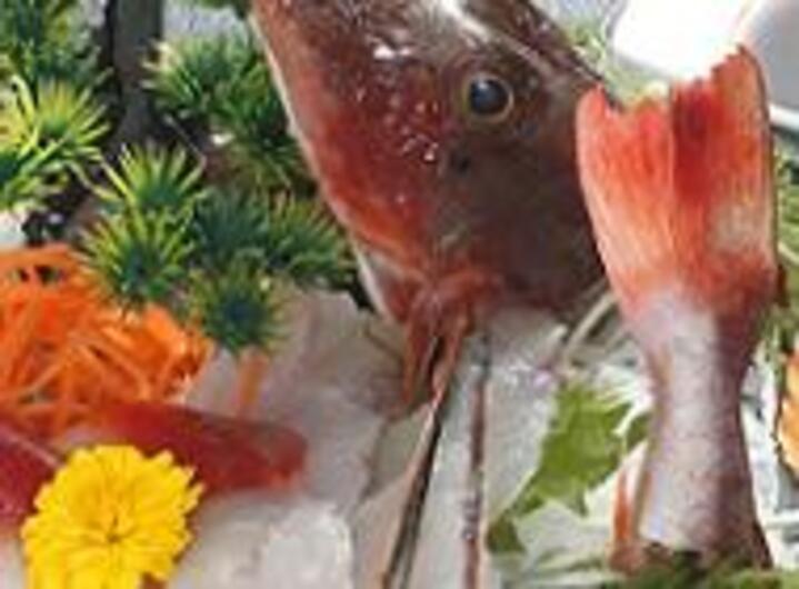 【特典(6)】朝獲れ鮮魚のお選び別注料理