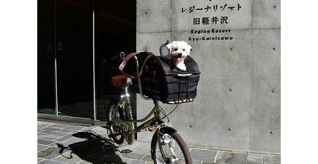 レンタサイクル　ペット用自転車：【3時間】1,200円