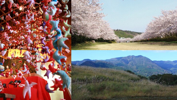 稲取周辺は春夏秋冬、見所がいっぱい