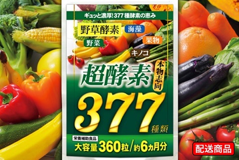 【★初掲載品】製薬会社が本気で作った自信の酵素粒！377種の野菜などの栄養素がギュッと1粒にまさに野菜の塊【送料無料】超酵素377