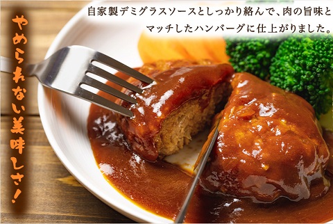 京都の自社工場にて１つずつ手作り  ハンバーグ15個（豆腐5個＋肉10個）食べ比べセット【送料無料】