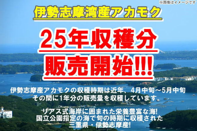 夏は超ネバり！大注目のスーパーフード！「伊勢志摩産 刻みアカモク 20g×2袋」【送料無料】