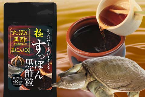 豊かな栄養成分を効率的に★極すっぽん黒酢粒 90粒【送料無料】