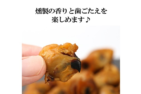 燻製 いかとんび 130g【送料無料】