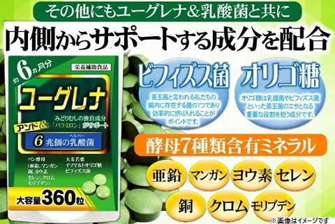 スーパーフードとして大注目⇒59種もの栄養素を含むミドリムシ★ さらに相性抜群の6兆個の乳酸菌★ユーグレナと6兆個の乳酸菌（約6ヵ月分360粒)【送料無料】