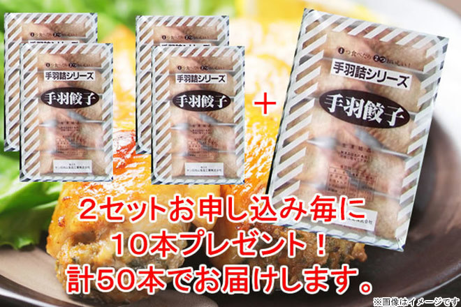 手羽先餃子　20本