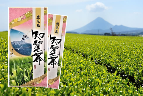 鹿児島が誇るブランド茶　知覧茶　100g×2袋【送料無料】　※2セット同時申込みでもう1袋プレゼント！