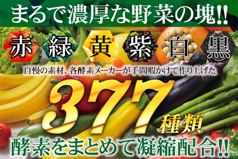 【★初掲載品】製薬会社が本気で作った自信の酵素粒！377種の野菜などの栄養素がギュッと1粒にまさに野菜の塊【送料無料】超酵素377