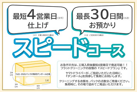 ＼衣替えシーズンラストスパート!!／【最短４営業日発送】宅配クリーニング（スピードコース20点）＋抗菌洗浄＋至福の贅沢コース付き【送料無料】