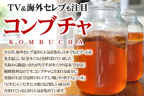 コンブチャを濃縮したサプリメント。注：※お茶では御座いません　濃縮コンブチャ(約6ヵ月分／360粒)【送料無料】