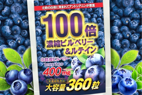 100倍濃縮ビルベリー★希少な水素やマキベリーなど22種全てが目の為の主役成分「大容量 約6ヵ月分  ビルベリー＆ルテイン サプリメント 360粒【送料無料】