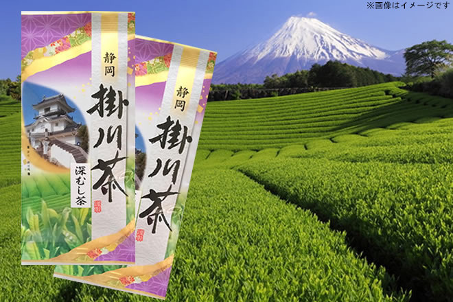 3年連続21回目の産地賞受賞！静岡県掛川蒸し煎茶「掛川城」100g×2袋【送料無料】　