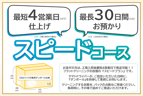 【夏の汚れをまとめてさっぱり落とす！この季節人気の爽快加工付！】選んでまとめて送るだけ♪ご自宅から簡単＆らくらく便利な宅配クリーニング（最短中4日仕上げOK！スピード10点）