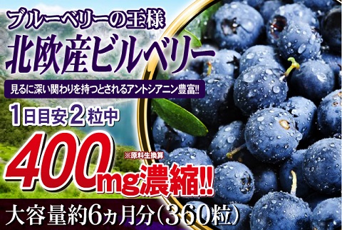 100倍濃縮ビルベリー大容量 約6ヵ月分  濃縮ビルベリー＆ルテイン サプリメント 360粒【送料無料】