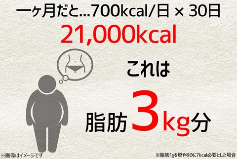 TV等で話題の食物繊維が豊富な「おから」パウダー配合★ダイエットコーンポタージュ（約20食分）【送料無料】