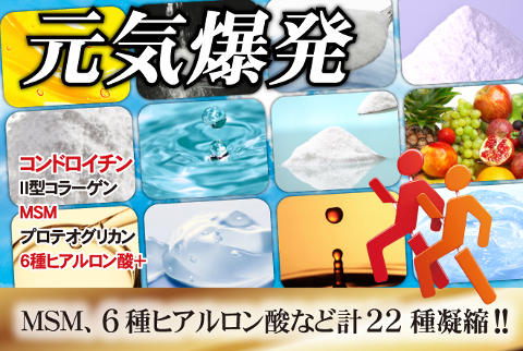 関節の動きが気になる方、毎日アクティブな活動を心がけたい方へ！★業界高水準の配合量 グルコサミン72,000ｍｇ(大容量360粒)【送料無料】