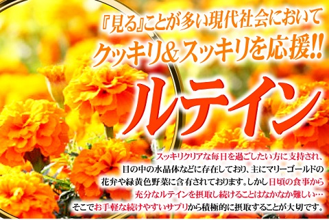 100倍濃縮ビルベリー★希少な水素やマキベリーなど22種全てが目の為の主役成分「大容量 約6ヵ月分  ビルベリー＆ルテイン サプリメント 360粒【送料無料】