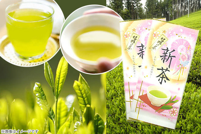農林大臣賞を受賞した茶匠が厳選2025年★新茶【嬉野茶】お得な1セット（2袋）【送料無料】
