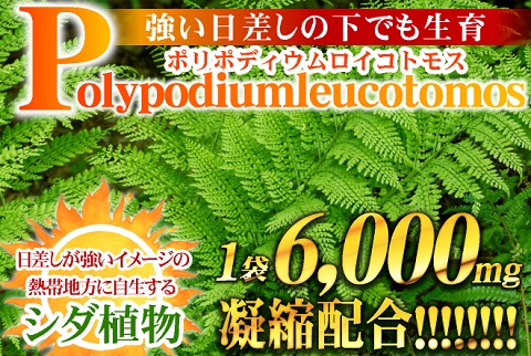日焼け対策は「塗る」から「飲む」へ★SUNRISE BEAUTY（60粒）2袋セット【送料無料】