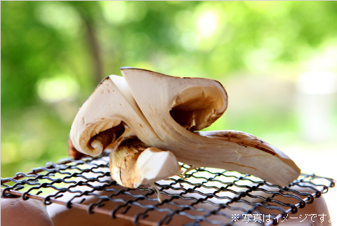 【秋の味覚・松茸＆若狭牛】1泊2食付 （ハイクラス宿）料理旅館 樹香苑