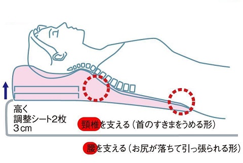 【送料無料】カイロプラクター スリープピロー 特許済低反発枕