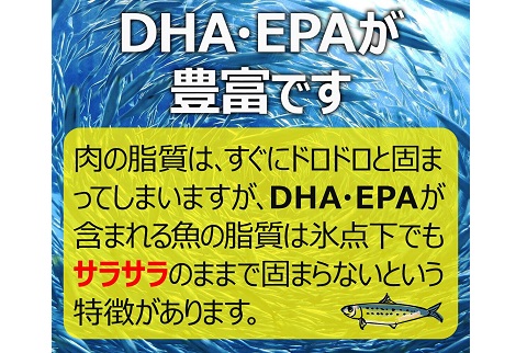【これはお得！先着30個限定　賞味期限：2022年11月18日まで】千葉県銚子産 イワシ1袋10匹入（生姜煮）送料無料