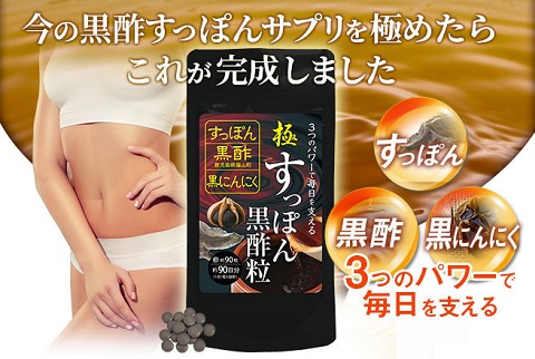 豊かな栄養成分を効率的に★極すっぽん黒酢粒 90粒【送料無料】