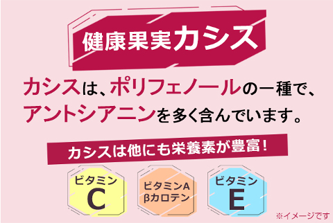 アントシアニンたっぷり★パソコン作業や目を酷使する方に！カシス 270粒【送料無料】