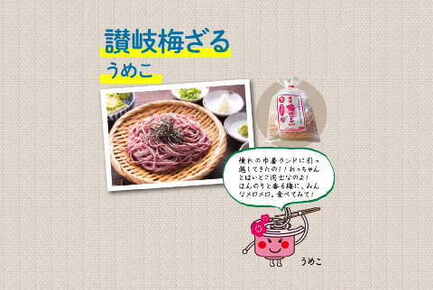 暑～いこの時期にはさっぱりとしたのど越しの良い！讃岐 梅ざる・茶ざる 選べる6食分セット（つゆ付）【配送無料】