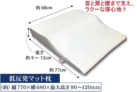 【送料無料】カイロプラクター スリープピロー 特許済低反発枕