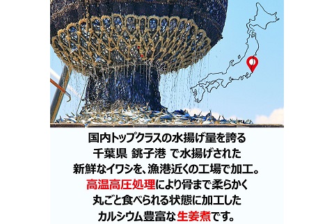 【これはお得！先着30個限定　賞味期限：2022年11月18日まで】千葉県銚子産 イワシ1袋10匹入（生姜煮）送料無料
