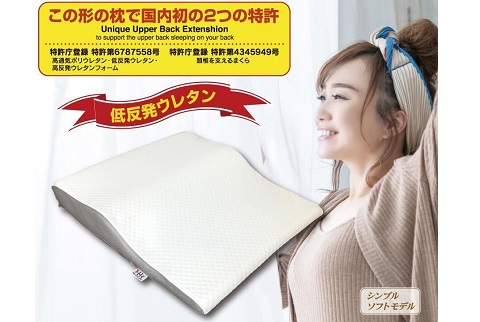 【送料無料】カイロプラクター スリープピロー 特許済低反発枕
