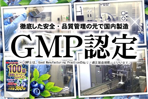 100倍濃縮ビルベリー★希少な水素やマキベリーなど22種全てが目の為の主役成分「大容量 約6ヵ月分  ビルベリー＆ルテイン サプリメント 360粒【送料無料】