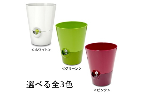 エムザ　フレッシュハーブポット（グリーン・ピンク・ホワイト）【送料無料】