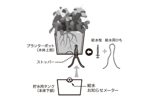 エムザ　フレッシュハーブポット（グリーン・ピンク・ホワイト）【送料無料】