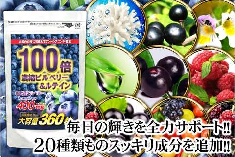 100倍濃縮ビルベリー★希少な水素やマキベリーなど22種全てが目の為の主役成分「大容量 約6ヵ月分  ビルベリー＆ルテイン サプリメント 360粒【送料無料】