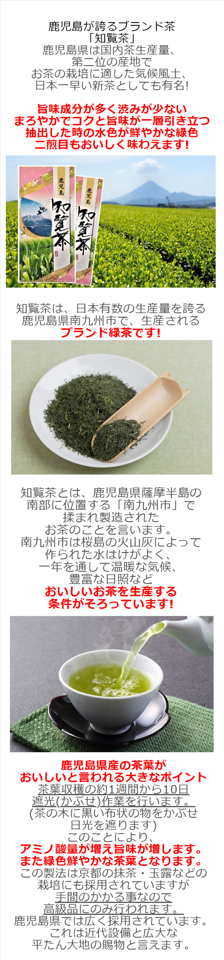 知覧茶　100g×2袋