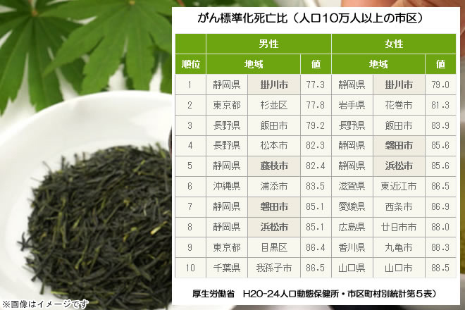 静岡県掛川蒸し煎茶 掛川城