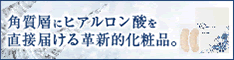 ヒアルロン酸【ダーマフィラー】