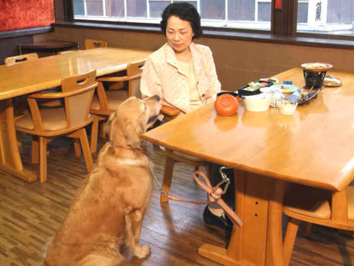 食事処　『おすわり』