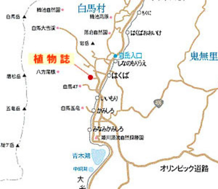 トクー