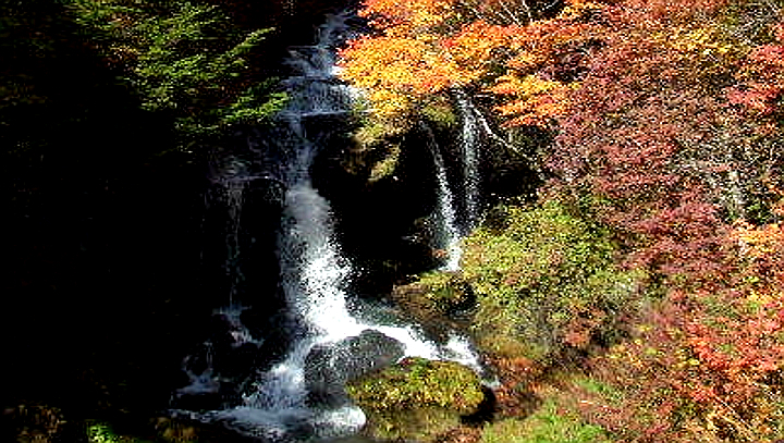 紅葉時の龍頭の滝は絶景