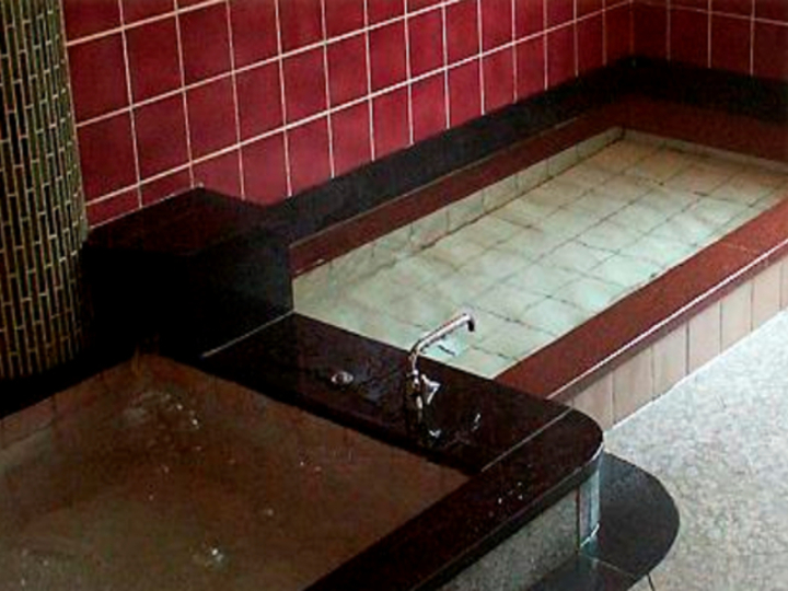 人工アルカリ温浴泉－女湯
