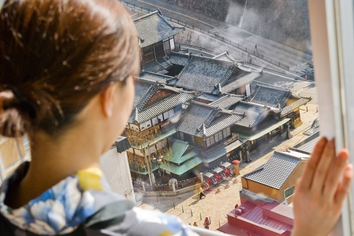 和室（本館ビュー）.