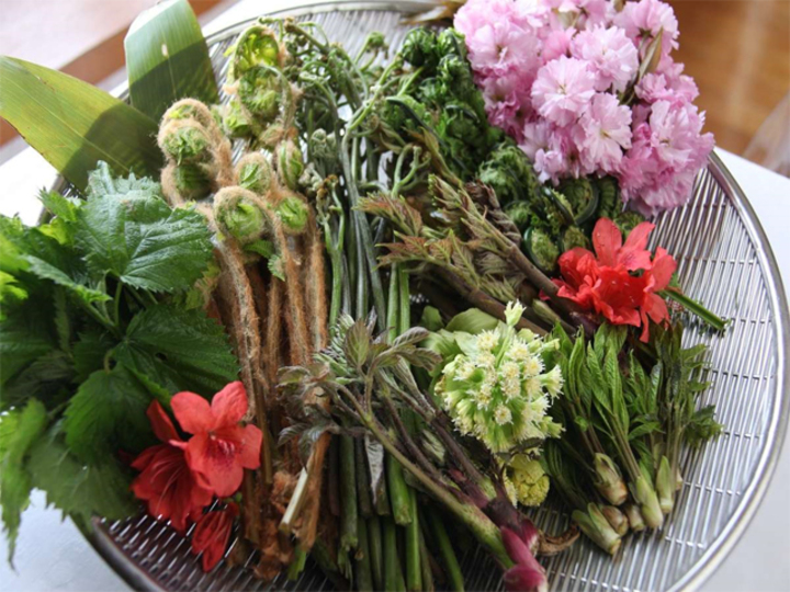 春は山菜