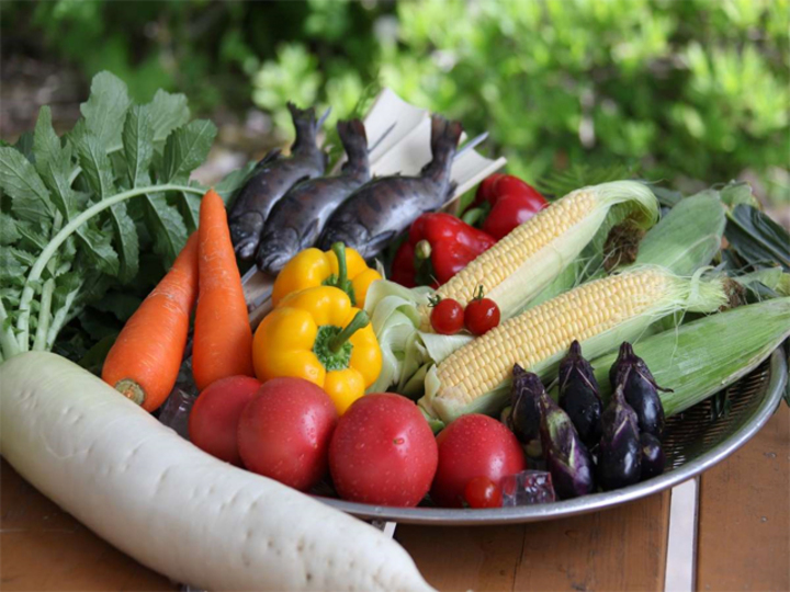 夏は新鮮な夏野菜