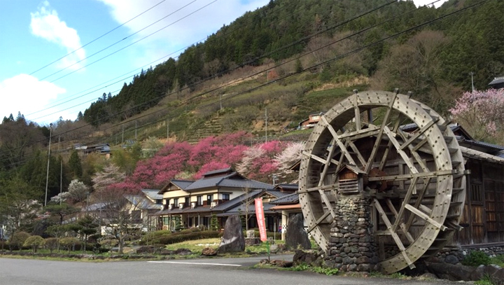 南信州遠山郷せせらぎの里 いろりの宿 島畑