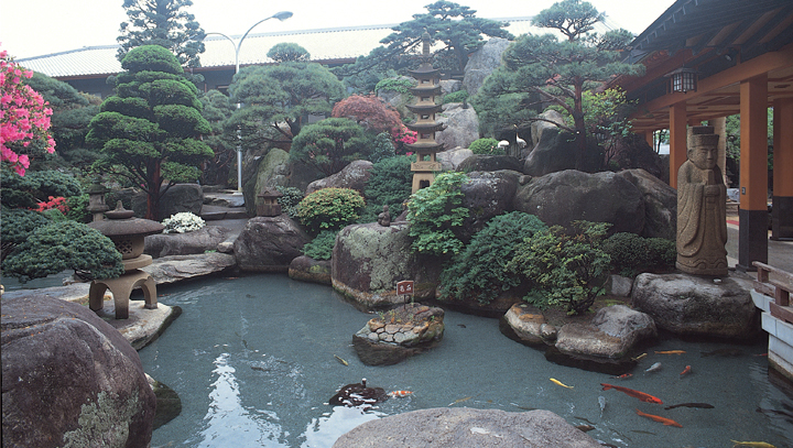 錦鯉が遊ぶせせらぎ、情緒豊かな日本庭園